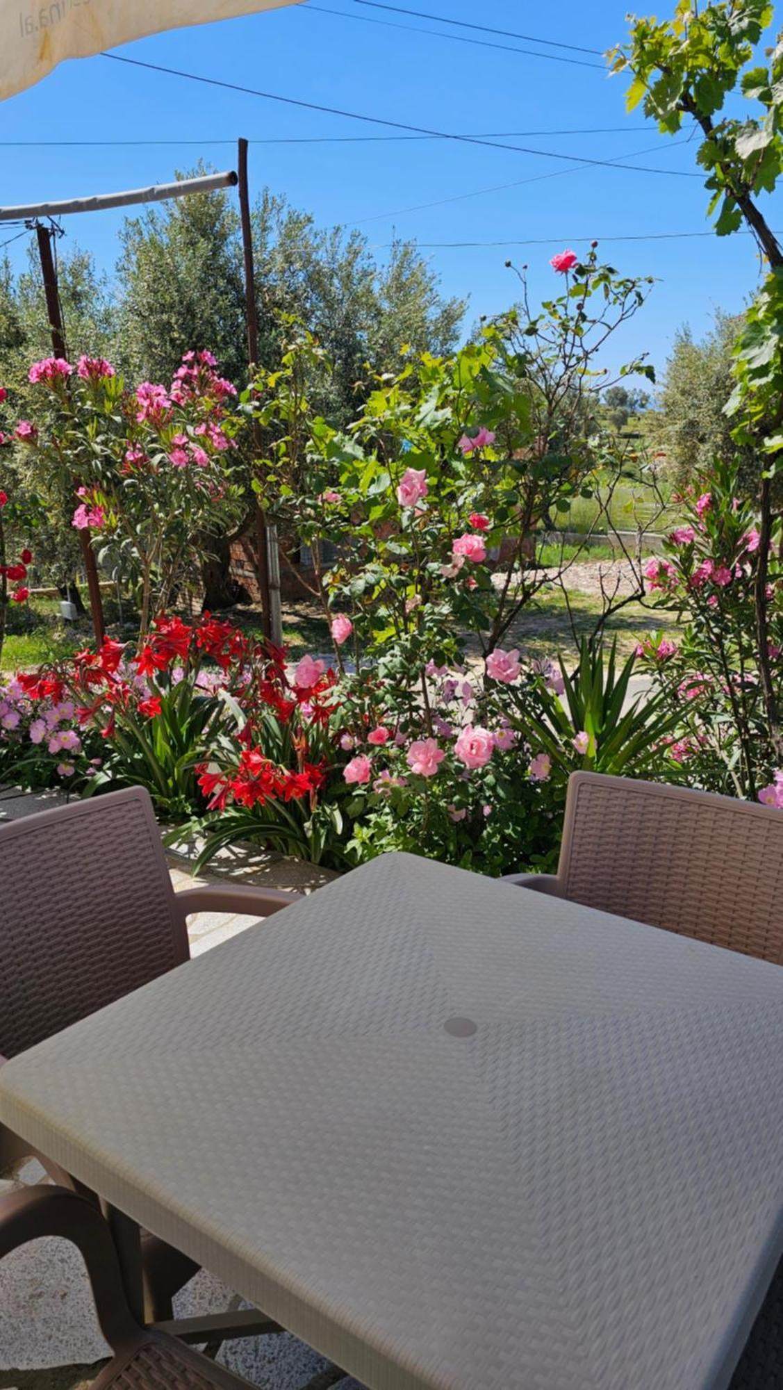 קסאמיל Vila Malo 1 מראה חיצוני תמונה